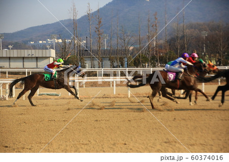 言葉 競走馬 ギャンブル 60374016