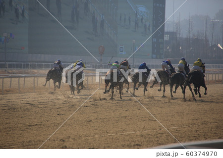 言葉 競走馬 トラクター 60374970