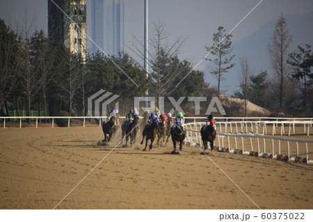 言葉 競走馬 トラクター 60375022