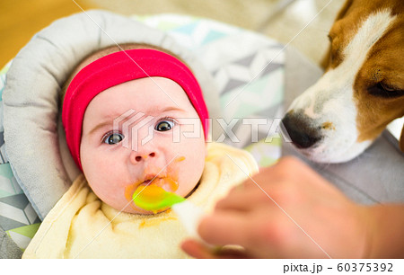Mother feeding hungry five month old funny baby Mother feeding hungry five month old funny baby 60375392