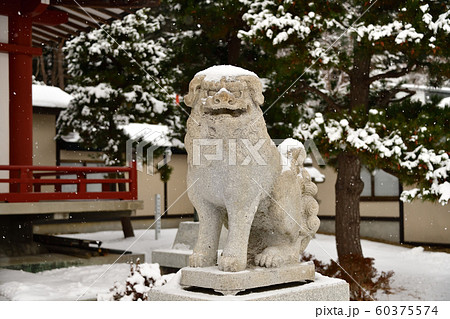 北海道函館市で北海道東照宮の境内の冬の雪景色を撮影 60375574