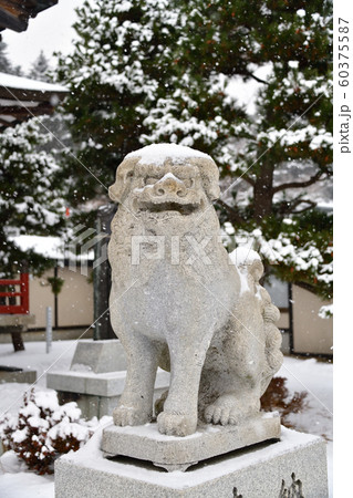 北海道函館市で北海道東照宮の境内の冬の雪景色を撮影 北海道函館市で北海道東照宮の境内の冬の雪景色を撮影 60375587