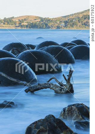 ニュージーランド　モエラキ　モエラキ・ボルダーズ 60375922