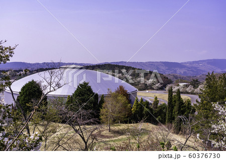 （静岡県）桜が咲いた、サイクルスポーツセンター　伊豆ベロドローム 60376730