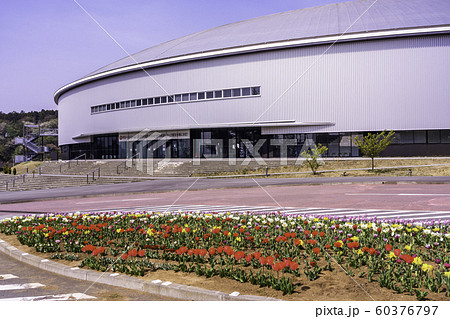 （静岡県）サイクルスポーツセンター　伊豆ベロドローム　春 60376797