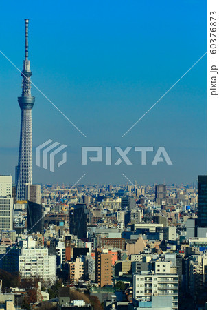 東京都　東京スカイツリーとその周辺の風景 60376873