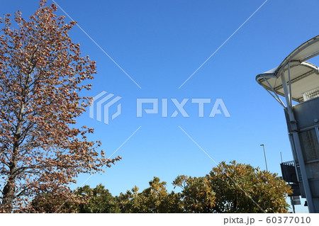 埼玉県加須市北川辺スポーツ遊学館の風景 60377010