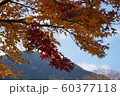 紅葉の風景 60377118