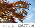 紅葉の風景 60377119