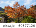 紅葉の風景 60377120