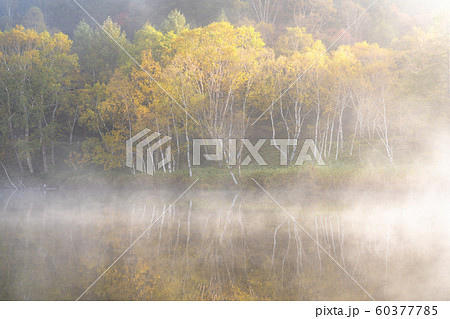 《長野県》紅葉の木戸池・秋の志賀高原 60377785