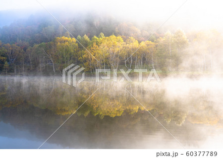 《長野県》紅葉の木戸池・秋の志賀高原 60377789