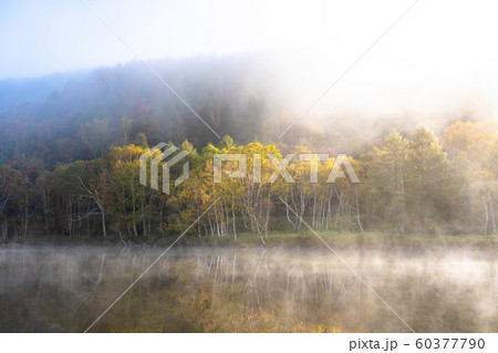 《長野県》紅葉の木戸池・秋の志賀高原 60377790