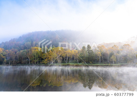 《長野県》紅葉の木戸池・秋の志賀高原 60377799