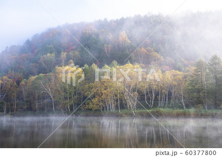 《長野県》紅葉の木戸池・秋の志賀高原 60377800