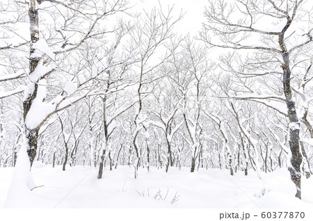風景 韓国の風景 冬 60377870