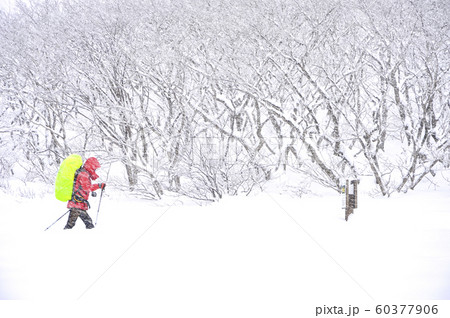 風景 韓国の風景 冬 60377906