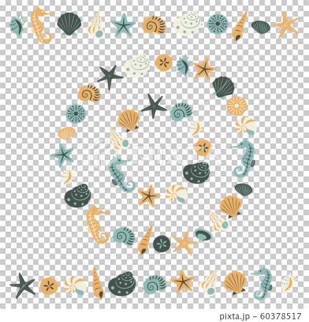 Seashell 60378517