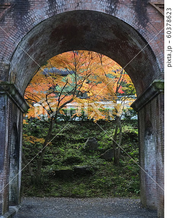 南禅寺 水路閣の紅葉 南禅寺 水路閣の紅葉 60378623