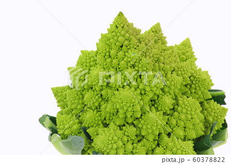 ロマネスコカリフラワー 60378822