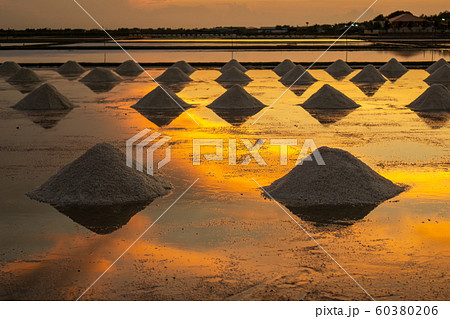 Salt in the salt fields in the evening During the Salt in the salt fields in the evening During the 60380206