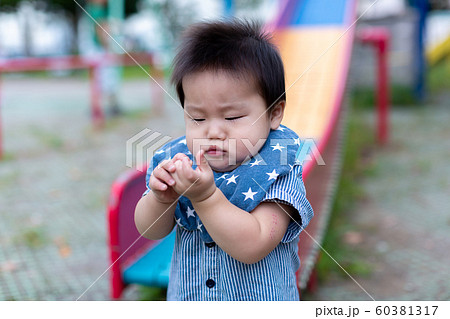 公園で遊ぶ乳幼児 60381317