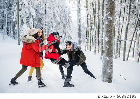 A group of young friends on a walk outdoors in snow in winter forest. A group of young friends on a walk outdoors in snow in winter forest. 60382195