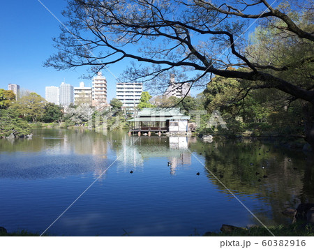 清澄庭園 　涼亭 60382916