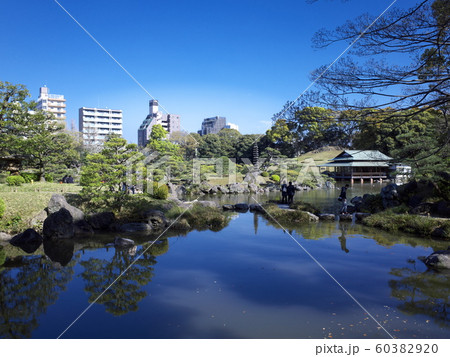 清澄庭園　涼亭と磯渡り 60382920