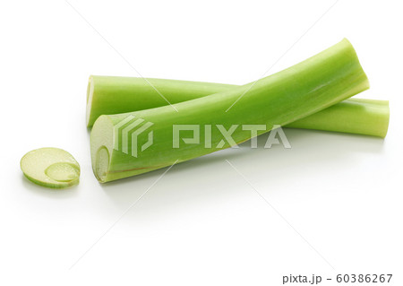 ハスイモ 60386267