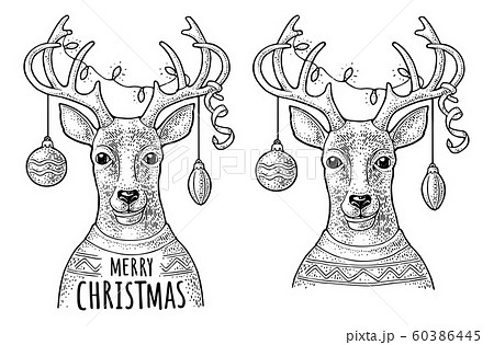Deer with christmas garland dressed in sweater. 60386445
