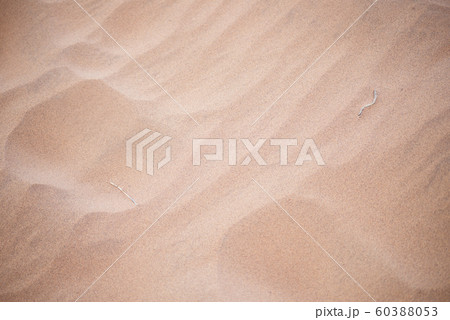 sand background sand background 60388053
