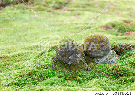 大原三千院 わらべ地蔵 大原三千院 わらべ地蔵 60389011
