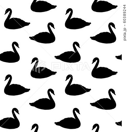 Vector seamless pattern of black swan silhouette 60389244