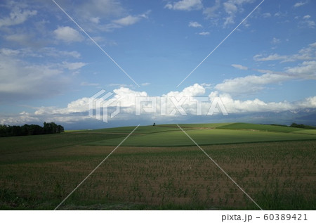 丘の風景_北海道 丘の風景_北海道 60389421