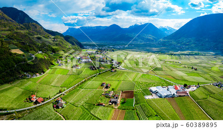 South Tyrol vineyards aerial view 60389895