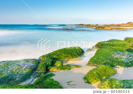 海 磯 章露出 60390333