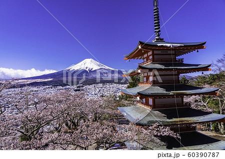 （山梨県）春雪・日本の美　桜の咲いた新倉山浅間公園・忠霊塔と富士山 60390787