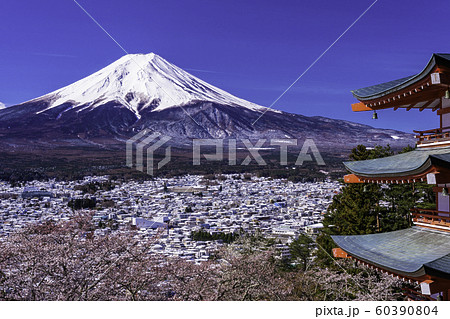 （山梨県）春雪・日本の美　桜の咲いた新倉山浅間公園・忠霊塔と富士山 60390804