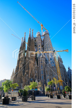 サグラダファミリア サグラダファミリア 60391016