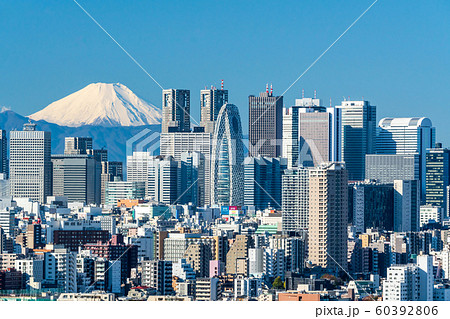富士山と新宿のビル群 東京都文京区 富士山と新宿のビル群 東京都文京区 60392806