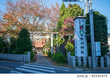 長宮氷川神社　埼玉県ふじみ野市 60392878