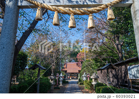 長宮氷川神社 埼玉県ふじみ野市 長宮氷川神社 埼玉県ふじみ野市 60393021