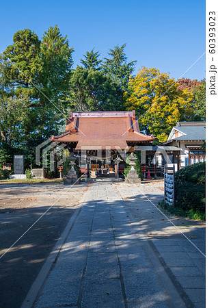 長宮氷川神社　埼玉県ふじみ野市 60393023