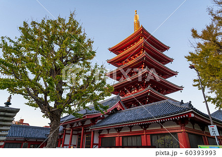 浅草寺　五重塔 60393993