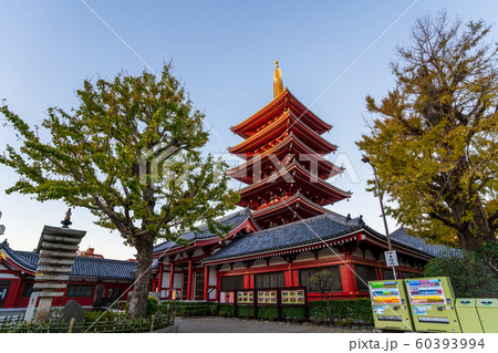 浅草寺　五重塔 60393994