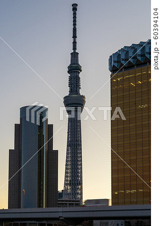 日の出頃の東京スカイツリー 日の出頃の東京スカイツリー 60394104