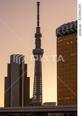 日の出頃の東京スカイツリー 日の出頃の東京スカイツリー 60394105