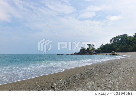 桂浜 桂浜 60394663