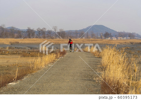 自然 風景 韓国 60395173